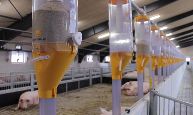 Volumendosererer til fodring af grise og svin | SKIOLD