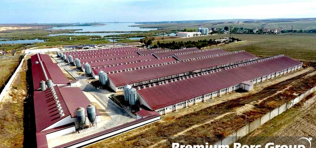 SKIOLD fodermølle på svinefarm i Rumænien