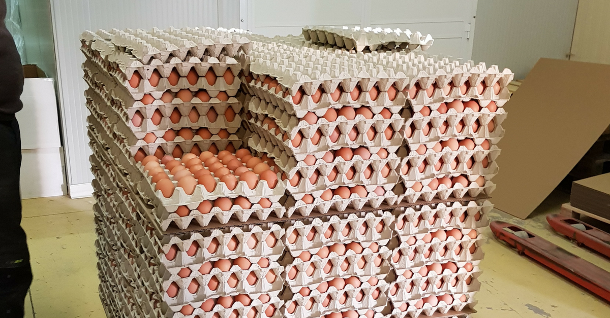 SKIOLD Fodermølle til fjerkræfoder, Frankrig