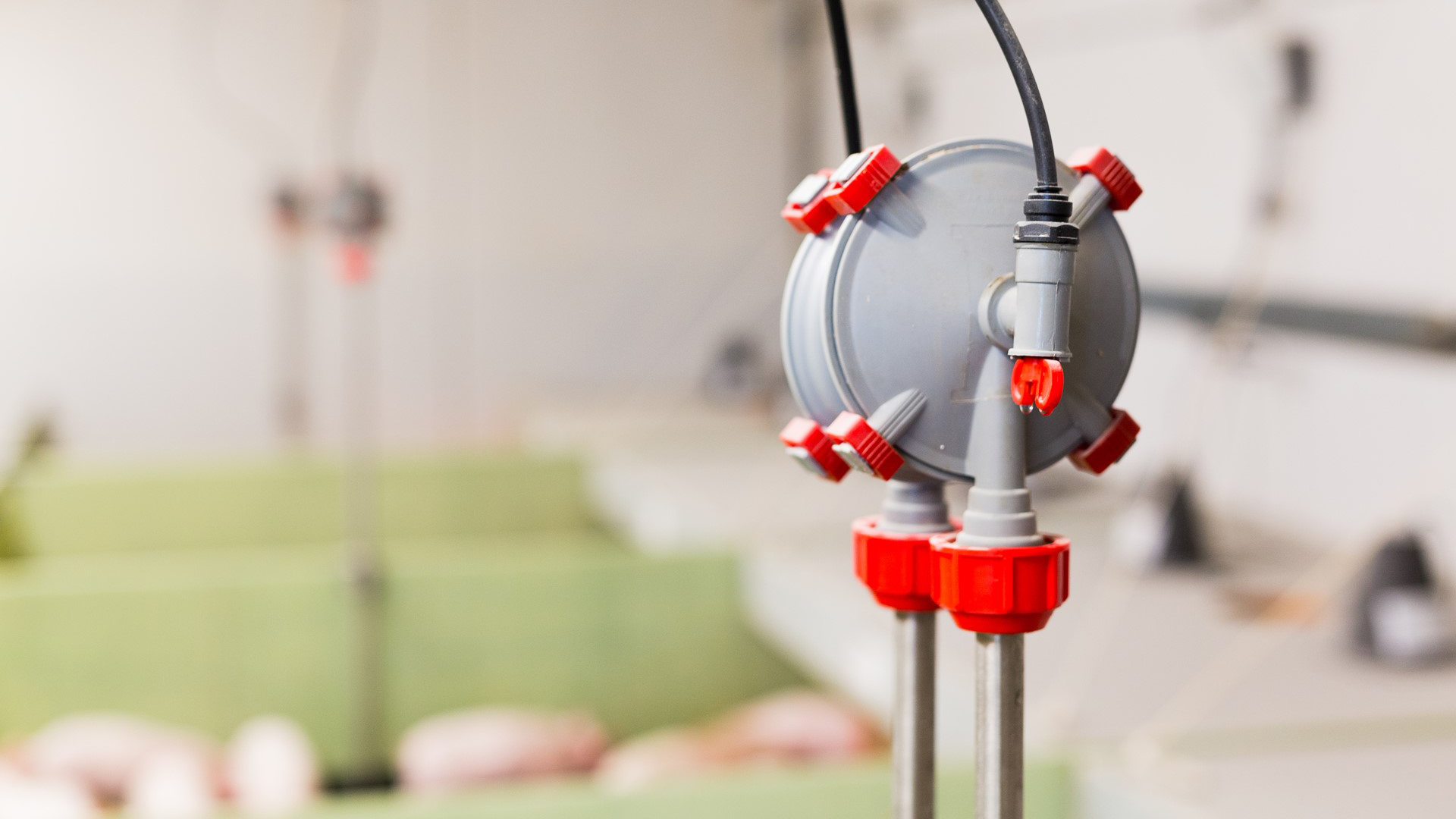 SKIOLD smågrisestald Aqua Level